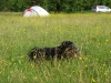 Filename=pic_090.jpg
Filesize=352KiB
Dimensions=1000x750
Date added=Sep 18, 2009 pic_090.jpg