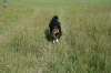 Filename=pic_105.jpg
Filesize=286KiB
Dimensions=1000x666
Date added=Sep 18, 2009 pic_105.jpg