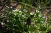 Filename=pic_160.jpg
Filesize=141KiB
Dimensions=1000x666
Date added=Sep 18, 2009 pic_160.jpg