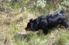 Filename=pic_173.jpg
Filesize=220KiB
Dimensions=1000x666
Date added=Sep 18, 2009 pic_173.jpg