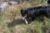 Filename=pic_176.jpg
Filesize=327KiB
Dimensions=1000x666
Date added=Sep 18, 2009 pic_176.jpg