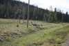 Filename=pic_199.jpg
Filesize=227KiB
Dimensions=1000x666
Date added=Sep 18, 2009 pic_199.jpg