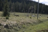 Filename=pic_202.jpg
Filesize=232KiB
Dimensions=1000x666
Date added=Sep 18, 2009 pic_202.jpg