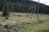 Filename=pic_203.jpg
Filesize=238KiB
Dimensions=1000x666
Date added=Sep 18, 2009 pic_203.jpg