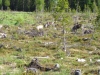 Filename=pic_204.jpg
Filesize=306KiB
Dimensions=1000x750
Date added=Sep 18, 2009 pic_204.jpg