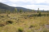 Filename=pic_222.jpg
Filesize=229KiB
Dimensions=1000x666
Date added=Sep 18, 2009 pic_222.jpg