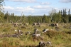 Filename=pic_231.jpg
Filesize=251KiB
Dimensions=1000x666
Date added=Sep 18, 2009 pic_231.jpg