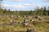 Filename=pic_232.jpg
Filesize=251KiB
Dimensions=1000x666
Date added=Sep 18, 2009 pic_232.jpg