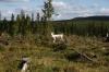 Filename=pic_234.jpg
Filesize=245KiB
Dimensions=1000x666
Date added=Sep 18, 2009 pic_234.jpg