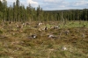 Filename=pic_246.jpg
Filesize=282KiB
Dimensions=1000x666
Date added=Sep 18, 2009 pic_246.jpg