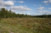 Filename=pic_250.jpg
Filesize=202KiB
Dimensions=1000x666
Date added=Sep 18, 2009 pic_250.jpg