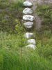 Filename=pic_252.jpg
Filesize=689KiB
Dimensions=750x1000
Date added=Sep 18, 2009 pic_252.jpg