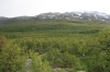 Filename=pic_301.jpg
Filesize=194KiB
Dimensions=1000x666
Date added=Sep 18, 2009 pic_301.jpg