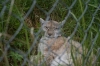 Filename=pic_306.jpg
Filesize=178KiB
Dimensions=1000x666
Date added=Sep 18, 2009 pic_306.jpg