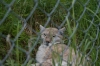 Filename=pic_308.jpg
Filesize=183KiB
Dimensions=1000x666
Date added=Sep 18, 2009 pic_308.jpg
