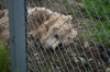 Filename=pic_312.jpg
Filesize=207KiB
Dimensions=1000x666
Date added=Sep 18, 2009 pic_312.jpg