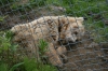 Filename=pic_314.jpg
Filesize=222KiB
Dimensions=1000x666
Date added=Sep 18, 2009 pic_314.jpg
