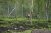 Filename=pic_319.jpg
Filesize=296KiB
Dimensions=1000x666
Date added=Sep 18, 2009 pic_319.jpg