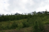 Filename=pic_338.jpg
Filesize=137KiB
Dimensions=1000x666
Date added=Sep 18, 2009 pic_338.jpg