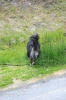 Filename=pic_342.jpg
Filesize=250KiB
Dimensions=666x1000
Date added=Sep 18, 2009 pic_342.jpg