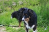 Filename=pic_344.jpg
Filesize=167KiB
Dimensions=1000x666
Date added=Sep 18, 2009 pic_344.jpg