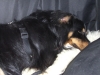 Filename=pic_385.jpg
Filesize=163KiB
Dimensions=1000x750
Date added=Sep 18, 2009 pic_385.jpg
