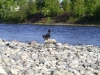 pic_535.jpg