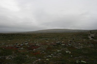IMG_4866.JPG