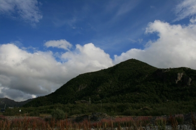 IMG_4929.JPG
