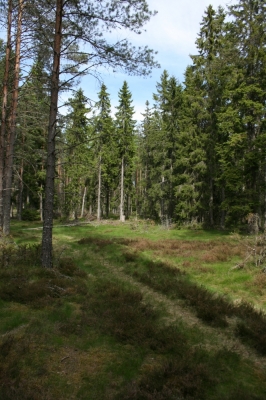 scandinavia_029.jpg