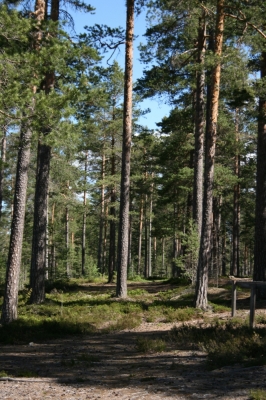 scandinavia_048.jpg