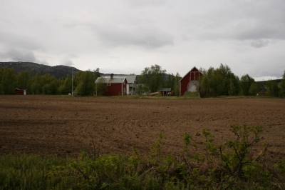 scandinavia_093.jpg