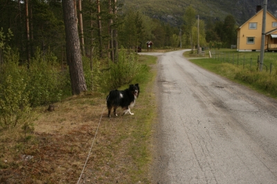 scandinavia_098.jpg