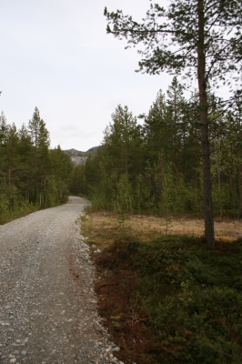 scandinavia_100.jpg
