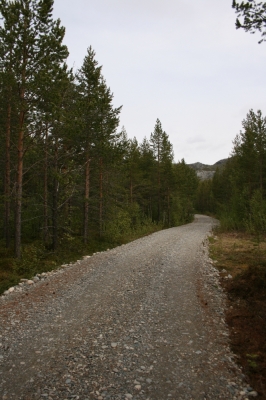 scandinavia_101.jpg