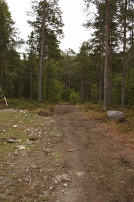 scandinavia_104.jpg