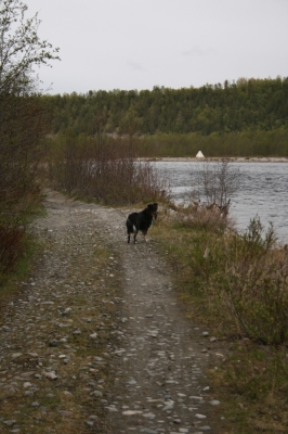 scandinavia_119.jpg