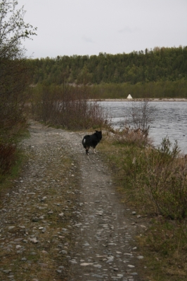 scandinavia_120.jpg