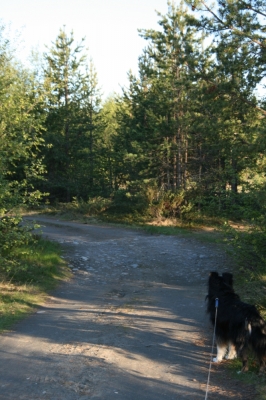 scandinavia_205.jpg
