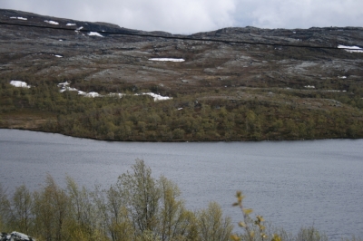 scandinavia_227.jpg