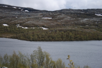 scandinavia_228.jpg