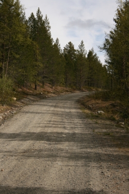 scandinavia_246.jpg
