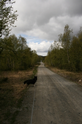 scandinavia_278.jpg