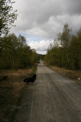 scandinavia_281.jpg