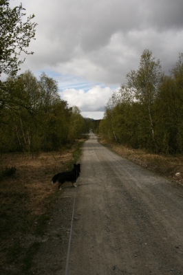 scandinavia_285.jpg