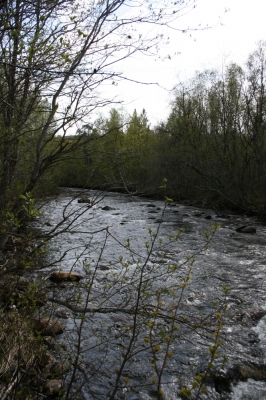 scandinavia_295.jpg