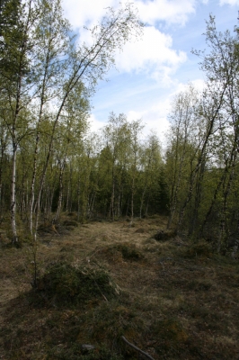scandinavia_303.jpg