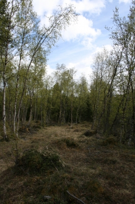 scandinavia_305.jpg