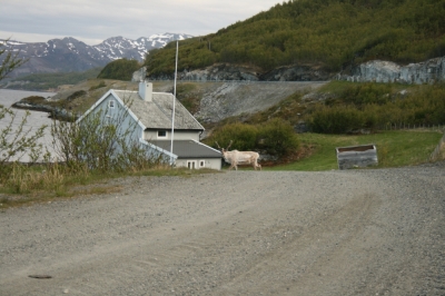 scandinavia_310.jpg