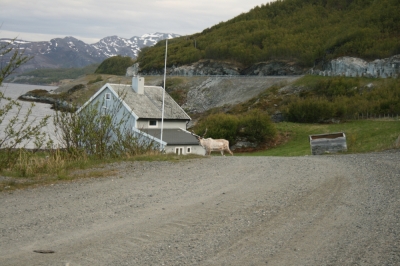 scandinavia_311.jpg